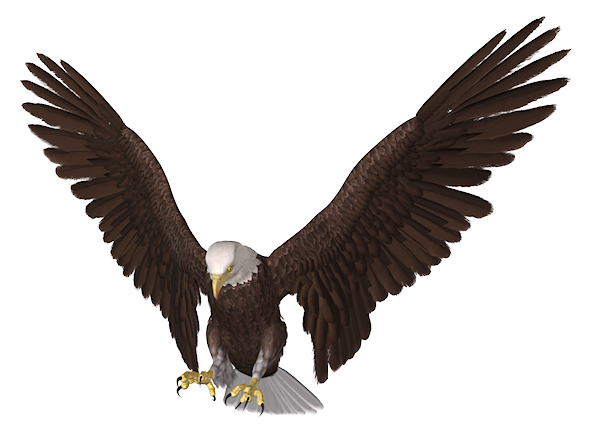 free clip art golden eagle - photo #32